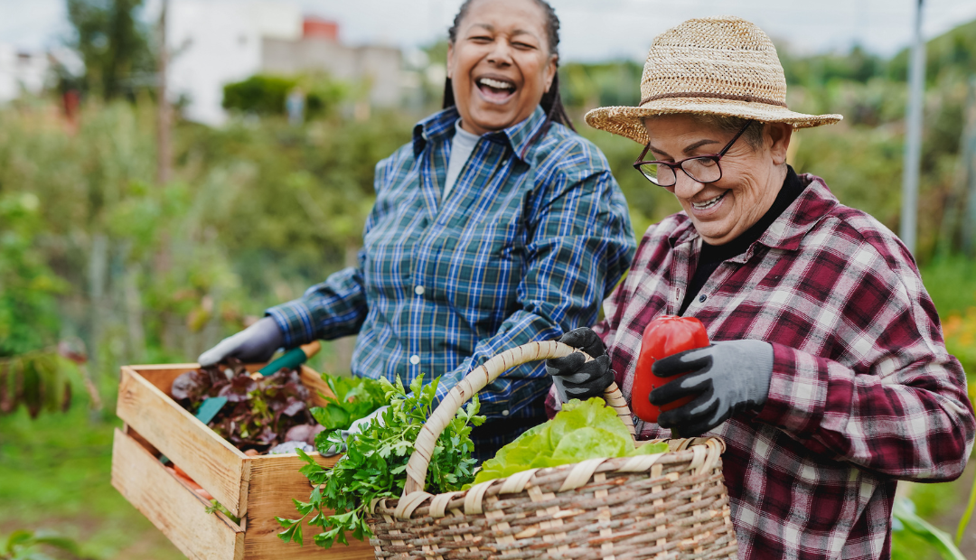 Programa de capacitação de fornecedores locais: de decisões e estratégias a cases de sucesso