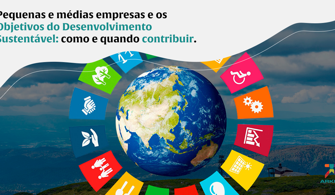 Pequenas e médias empresas e os Objetivos do Desenvolvimento Sustentável: como e quando contribuir